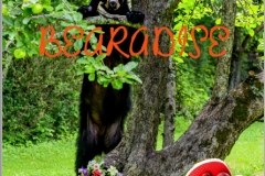 Welcome to Bearadise Cover