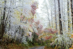 Mountain Road with fall foliage and snow 1