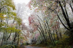 Mountain Road with fall foliage and snow 2