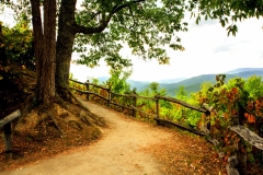 Colorful Overlook